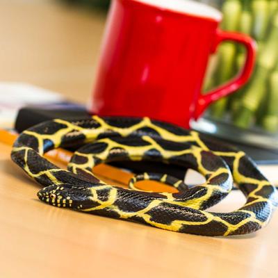 Show full view: Safari Ltd. Chain Kingsnake slide 5 of 6