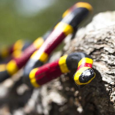 Show full view: Safari Ltd. Coral Snake Figurine slide 7 of 7