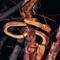 Show in main carousel: Safari Ltd. Amazon Tree Boa slide 6 of 6