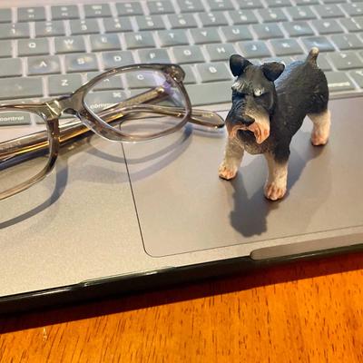 Show full view: Safari Ltd. Schnauzer slide 5 of 6