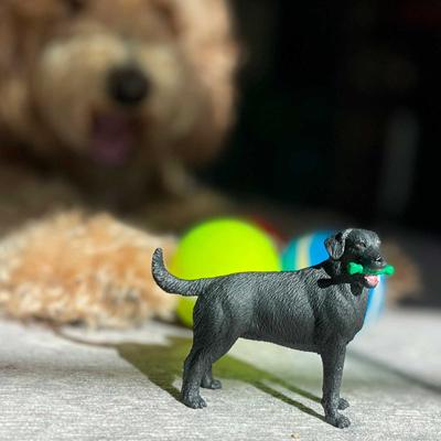 Show full view: Safari Ltd. Black Labrador slide 7 of 8