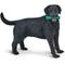 Show in main carousel: Safari Ltd. Black Labrador slide 1 of 8