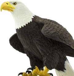 Safari Ltd. Bald Eagle slide 2 of 6