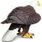 Show in main carousel: Safari Ltd. Bald Eagle slide 4 of 6