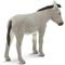 Show in main carousel: Safari Ltd. Donkey Figurine slide 3 of 6