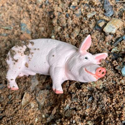 Show full view: Safari Ltd. Boar slide 6 of 6