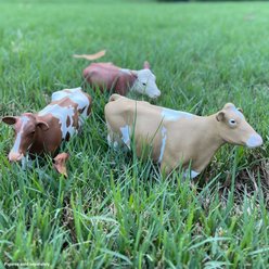 Safari Ltd. Guernsey Cow Figurine slide 2 of 6