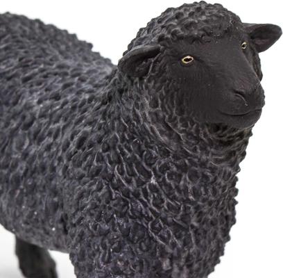 Show full view: Safari Ltd. Black Sheep Figurine slide 5 of 7