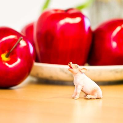 Show full view: Safari Ltd. Sitting Piglet Toy Figurine slide 5 of 6