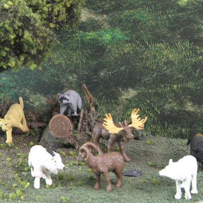 Show full view: Safari Ltd. North American Wildlife Toob slide 2 of 7