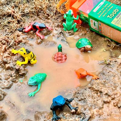 Show full view: Safari Ltd. Frogs & Turtles Toob slide 2 of 7