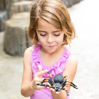 Show full view: Safari Ltd. Orange-Kneed Tarantula slide 6 of 7