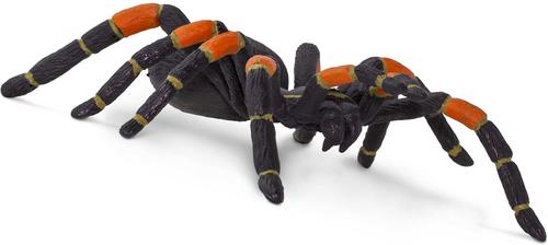 Show full view: Safari Ltd. Orange-Kneed Tarantula slide 2 of 7