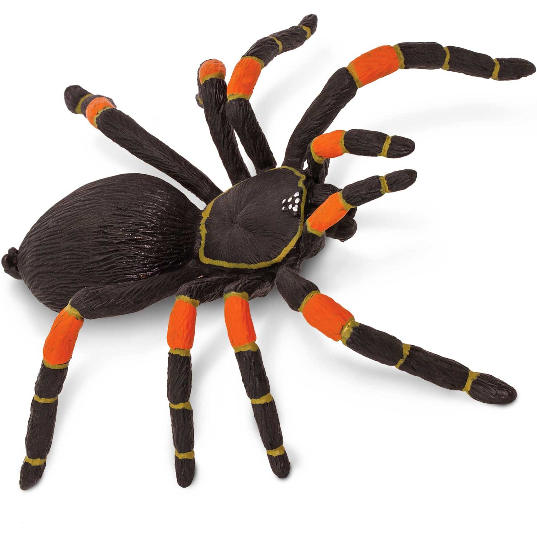 Safari Ltd. Orange-Kneed Tarantula
