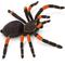 Show in main carousel: Safari Ltd. Orange-Kneed Tarantula slide 1 of 7