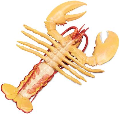 Show full view: Safari Ltd. Maine Lobster slide 4 of 6