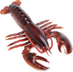 Safari Ltd. Maine Lobster