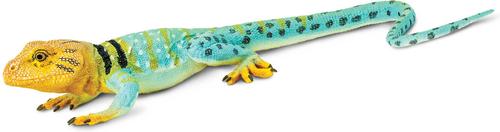 Show full view: Safari Ltd. Collared Lizard Toy Figurine slide 3 of 7