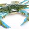 Show in main carousel: Safari Ltd. Blue Crab Toy Figurine slide 5 of 6