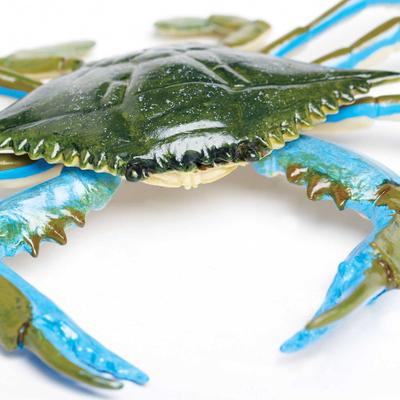 Show full view: Safari Ltd. Blue Crab Toy Figurine slide 5 of 6