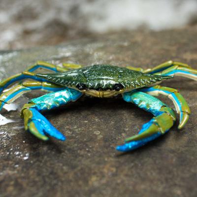 Show full view: Safari Ltd. Blue Crab Toy Figurine slide 3 of 6