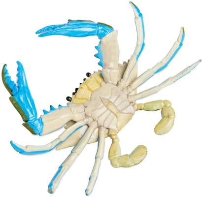 Show full view: Safari Ltd. Blue Crab Toy Figurine slide 4 of 6