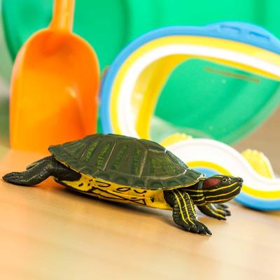 Show full view: Safari Ltd. Red-Eared Slider Turtle Toy Figurine slide 6 of 6