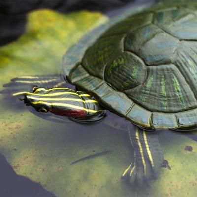 Show full view: Safari Ltd. Red-Eared Slider Turtle Toy Figurine slide 5 of 6