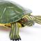 Show in main carousel: Safari Ltd. Red-Eared Slider Turtle Toy Figurine slide 2 of 6