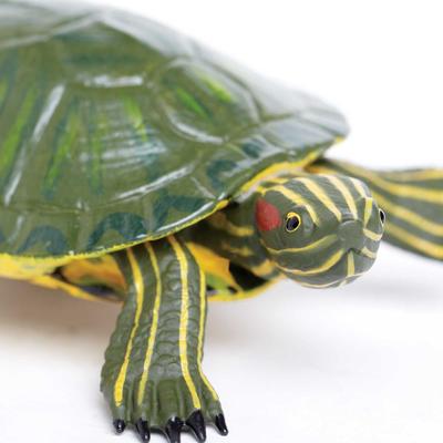 Show full view: Safari Ltd. Red-Eared Slider Turtle Toy Figurine slide 2 of 6