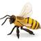 Show in main carousel: Safari Ltd. Honey Bee Toy Figurine slide 4 of 6