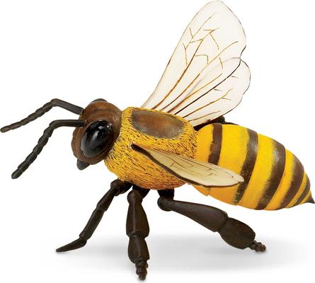 Show full view: Safari Ltd. Honey Bee Toy Figurine slide 4 of 6