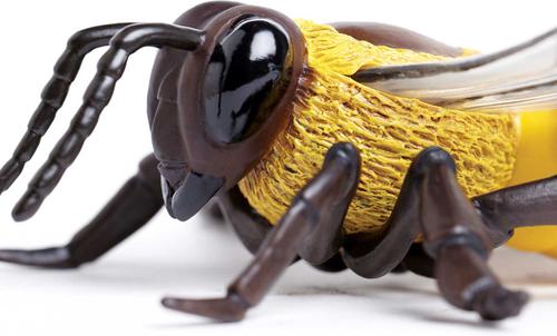 Show full view: Safari Ltd. Honey Bee Toy Figurine slide 2 of 6