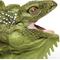 Show in main carousel: Safari Ltd. Iguana Toy Figurine slide 3 of 6