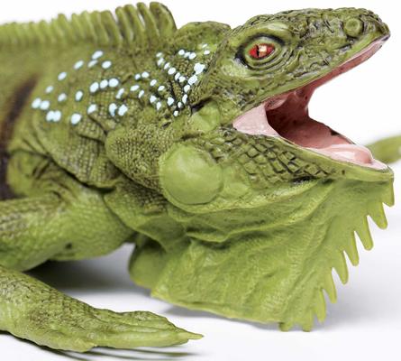 Show full view: Safari Ltd. Iguana Toy Figurine slide 4 of 6