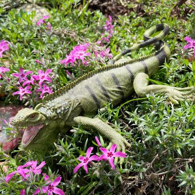 Show full view: Safari Ltd. Iguana Toy Figurine slide 5 of 6