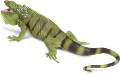 Safari Ltd. Iguana Toy Figurine