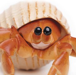 Safari Ltd. Hermit Crab Toy Figurine slide 2 of 6