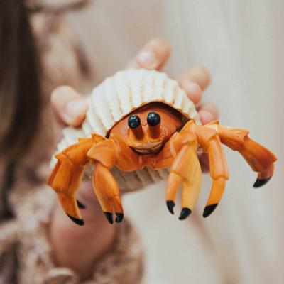 Show full view: Safari Ltd. Hermit Crab Toy Figurine slide 6 of 6