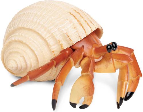 Show full view: Safari Ltd. Hermit Crab Toy Figurine slide 2 of 6