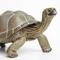 Show in main carousel: Safari Ltd. Tortoise Figurine, 8.5 x 4.5-in slide 3 of 5