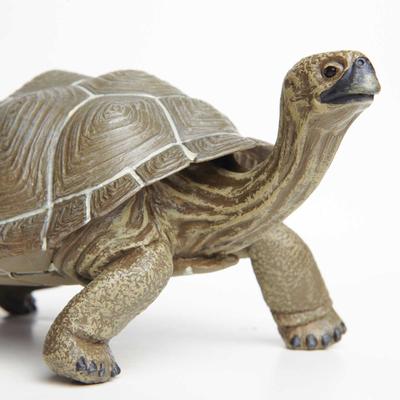 Show full view: Safari Ltd. Tortoise Figurine, 8.5 x 4.5-in slide 3 of 5