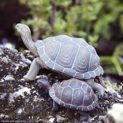 Show full view: Safari Ltd. Tortoise Figurine, 8.5 x 4.5-in slide 4 of 5