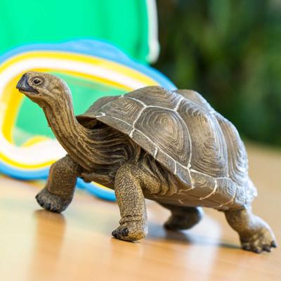 Show full view: Safari Ltd. Tortoise Figurine, 8.5 x 4.5-in slide 5 of 5