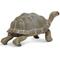 Show in main carousel: Safari Ltd. Tortoise Figurine, 8.5 x 4.5-in slide 2 of 5