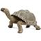 Show in main carousel: Safari Ltd. Tortoise Figurine, 8.5 x 4.5-in slide 1 of 5
