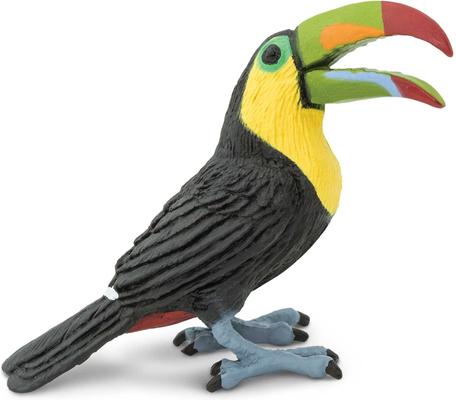 Show full view: Safari Ltd. Toucan slide 2 of 6