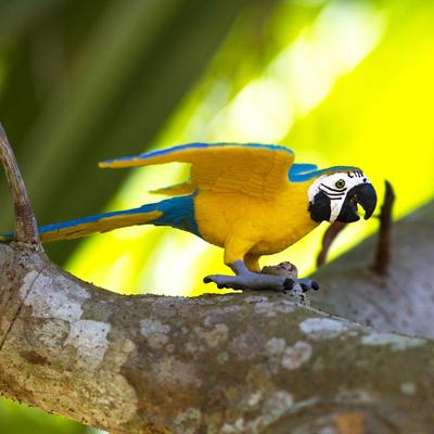 Show full view: Safari Ltd. Blue & Gold Macaw Figurine slide 5 of 6