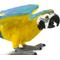 Show in main carousel: Safari Ltd. Blue & Gold Macaw Figurine slide 4 of 6