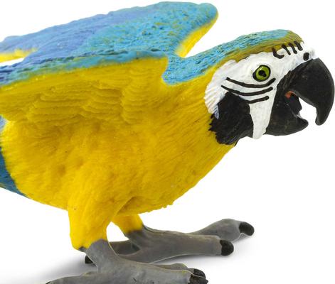 Show full view: Safari Ltd. Blue & Gold Macaw Figurine slide 4 of 6